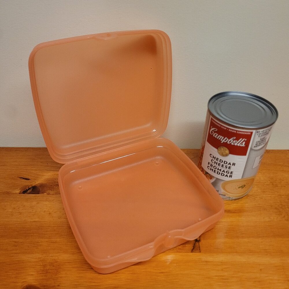 Tupperware Sandwich Keeper - Coral